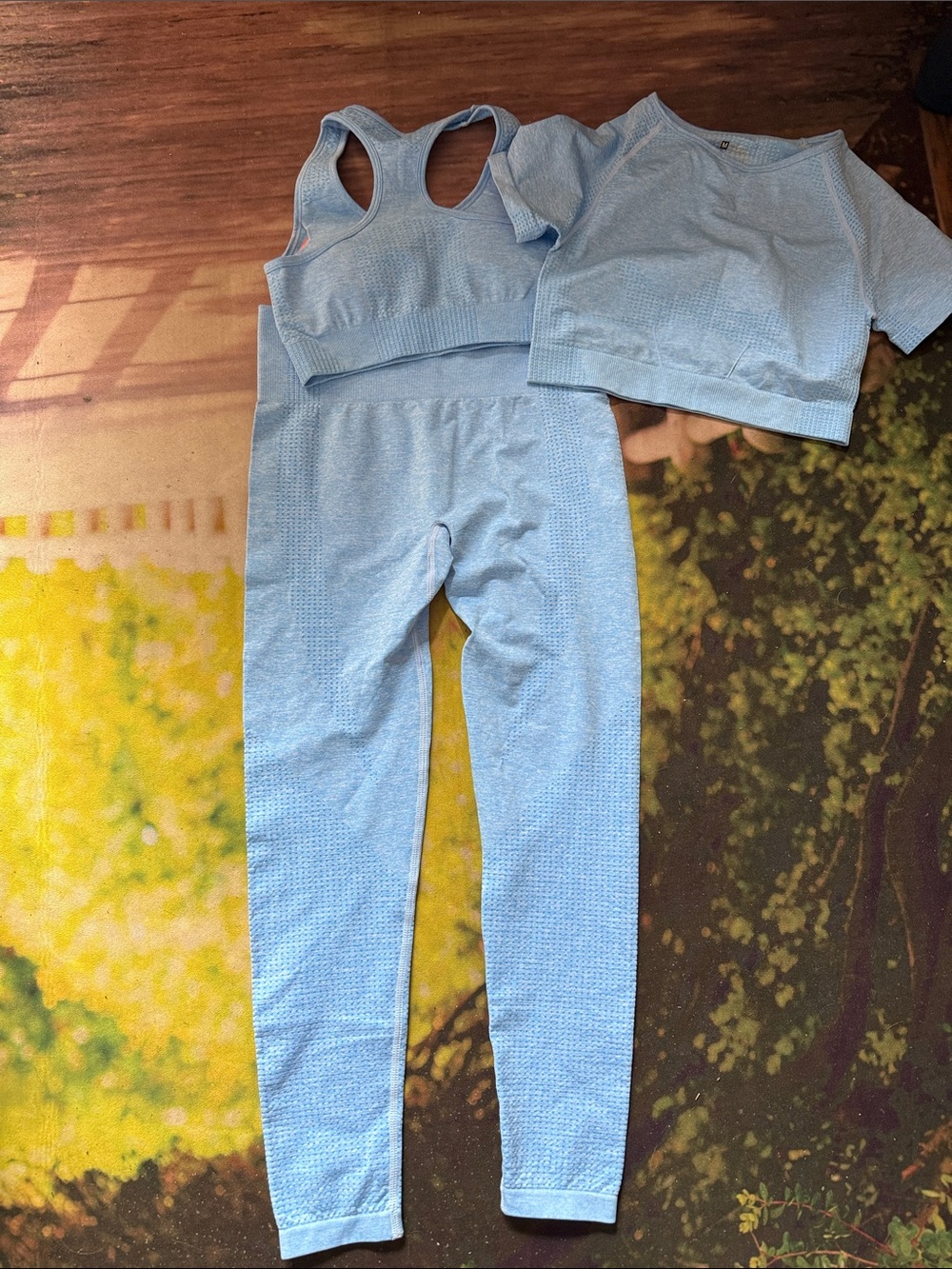 Light Blue Seamless Active Leggings Set